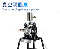 線條往復噴漆機真空隔膜泵.jpg 線條往復噴漆機真空隔膜泵.jpg